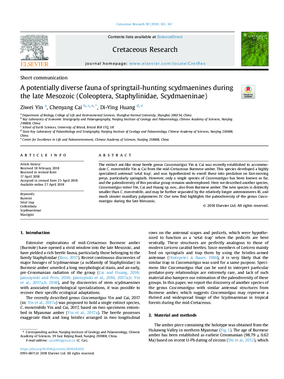 A potentially diverse fauna of springtail-hunting scydmaenines during the late Mesozoic (Coleoptera, Staphylinidae, Scydmaeninae)