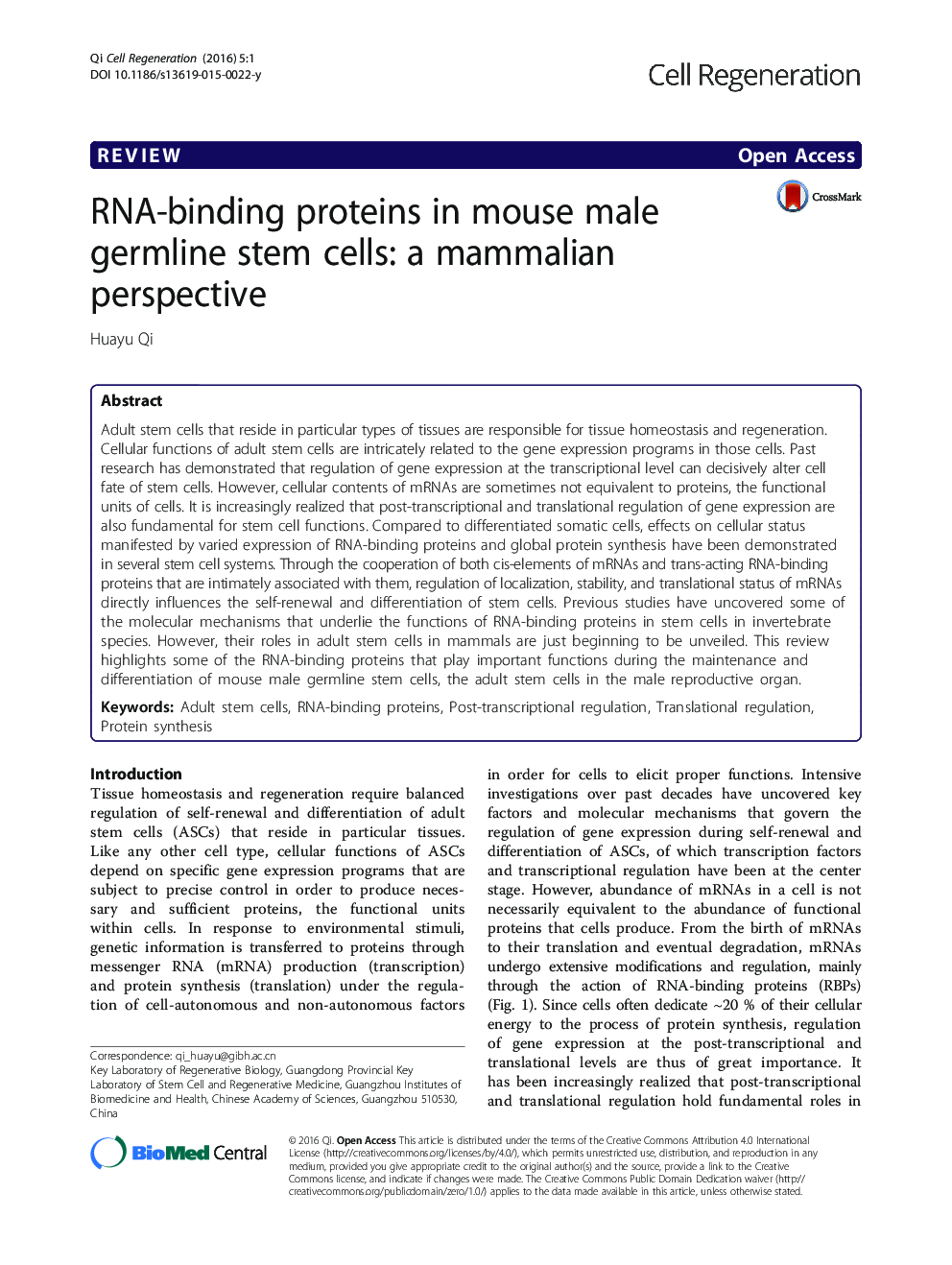 RNA-binding proteins in mouse male germline stem cells: a mammalian perspective