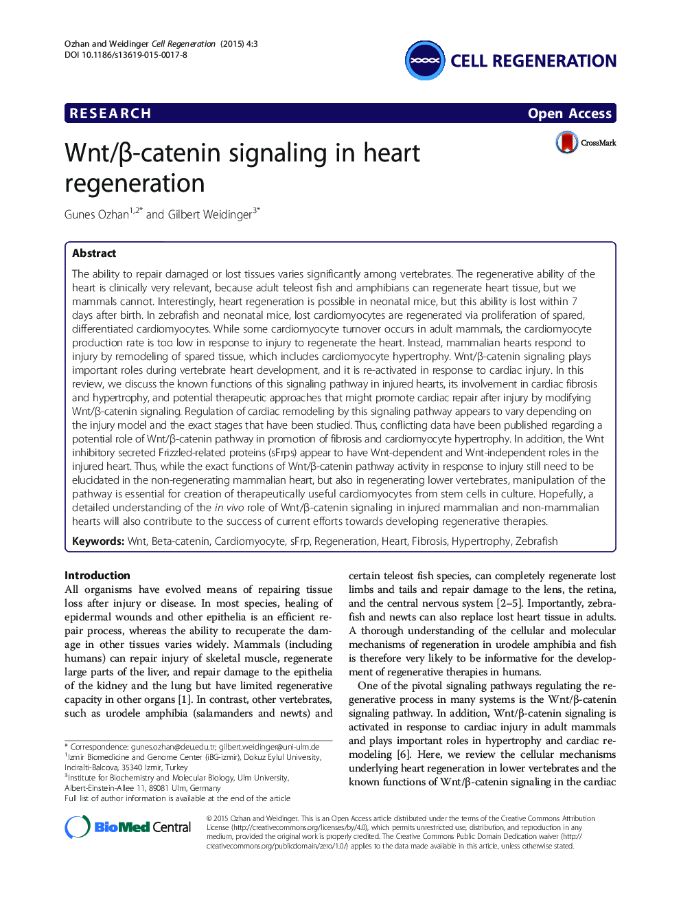 Wnt/Î²-catenin signaling in heart regeneration