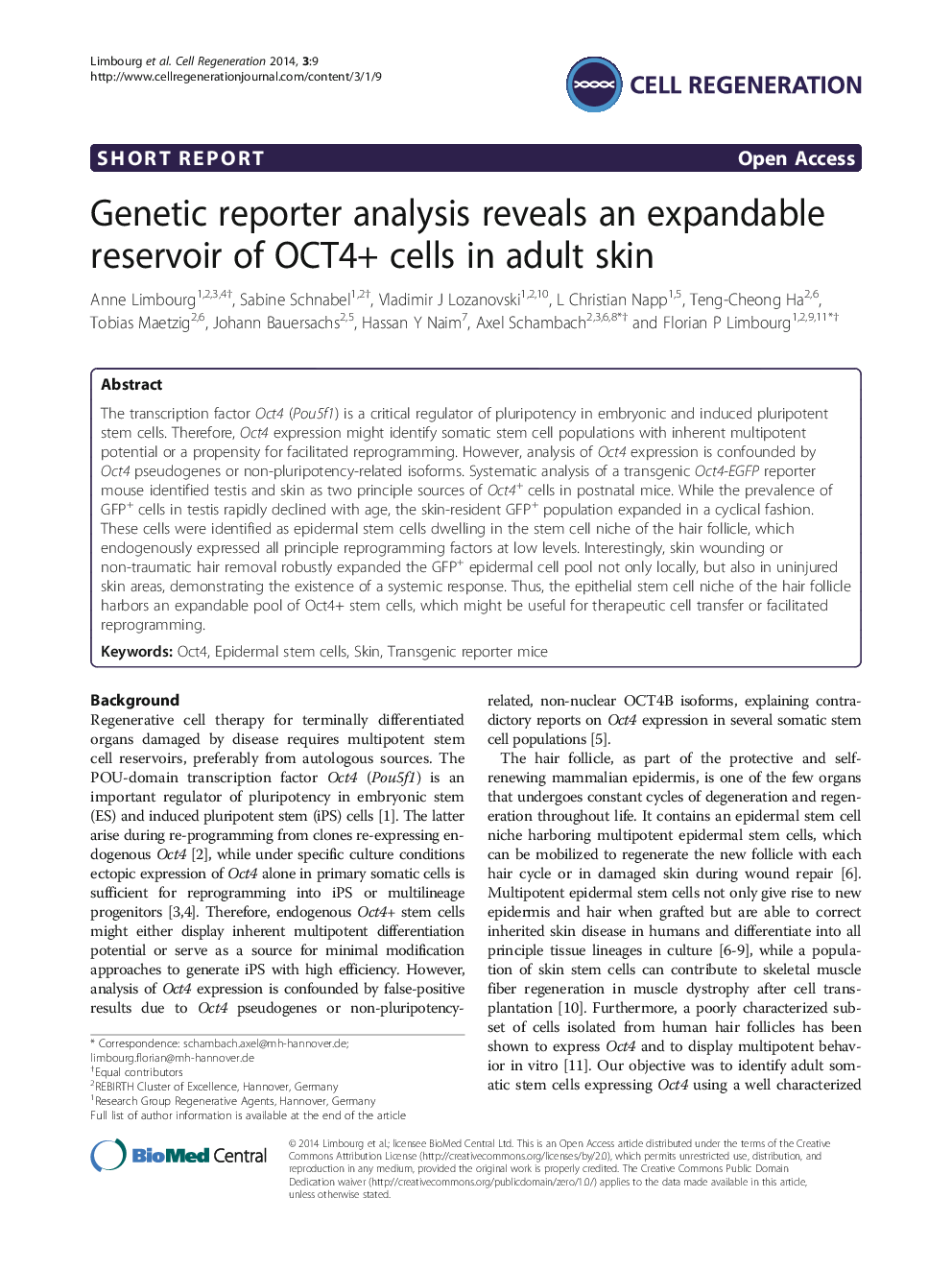 Genetic reporter analysis reveals an expandable reservoir of OCT4+ cells in adult skin