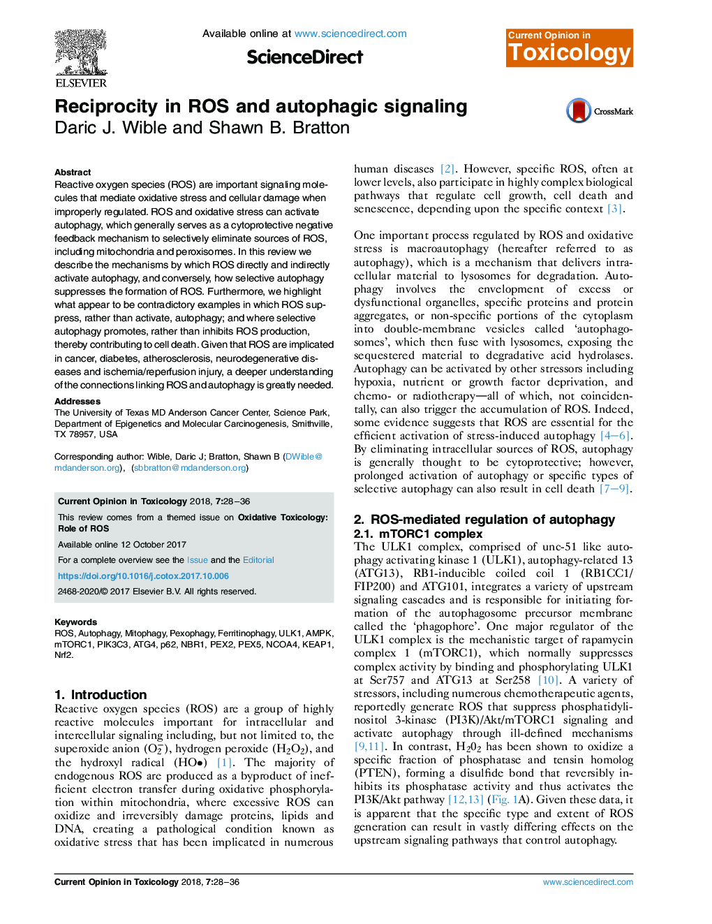 Reciprocity in ROS and autophagic signaling