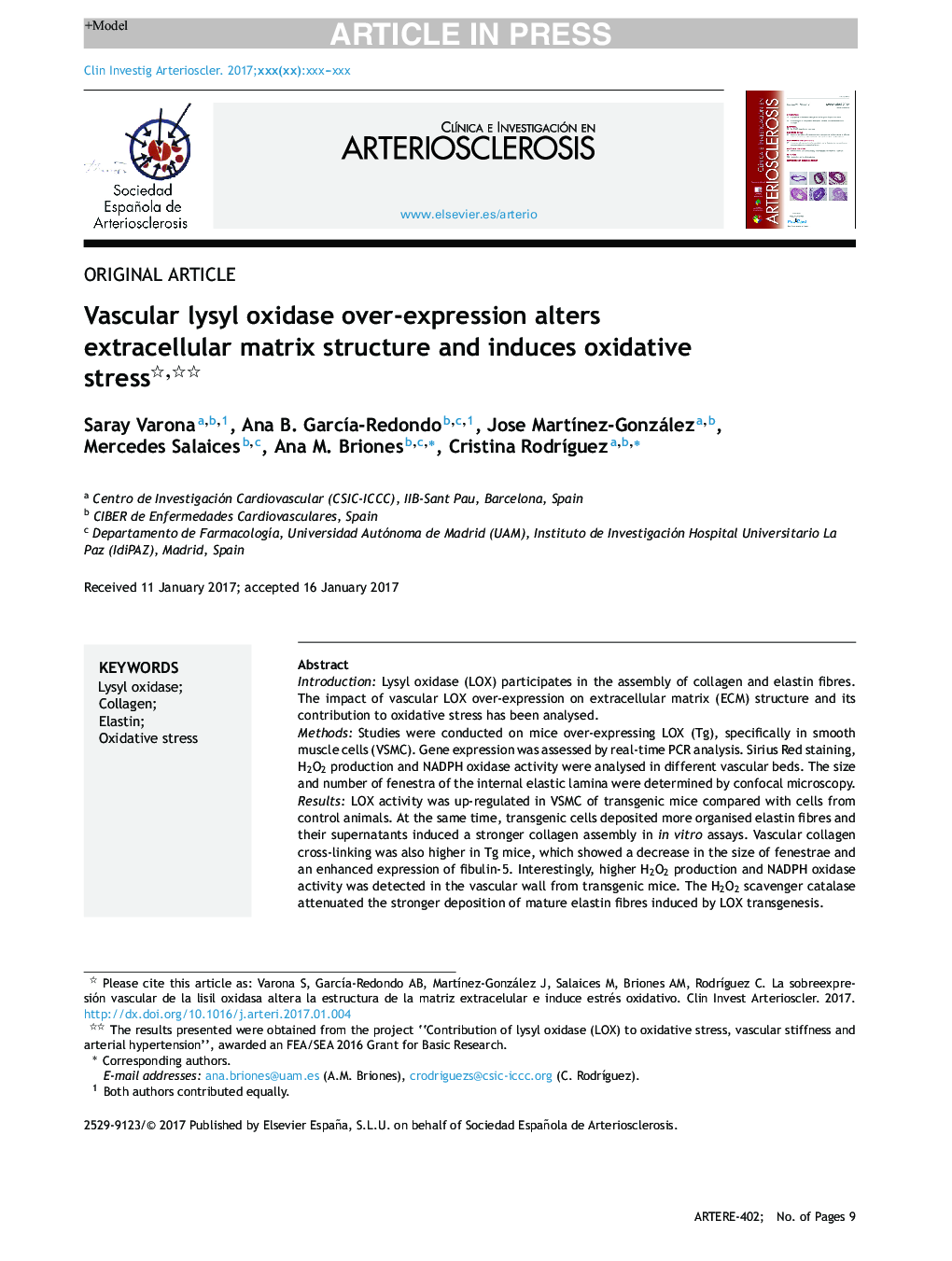 Vascular lysyl oxidase over-expression alters extracellular matrix structure and induces oxidative stress
