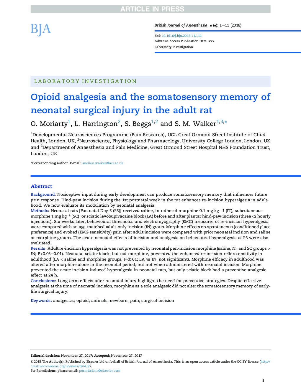 Opioid analgesia and the somatosensory memory of neonatal surgical injury in the adult rat