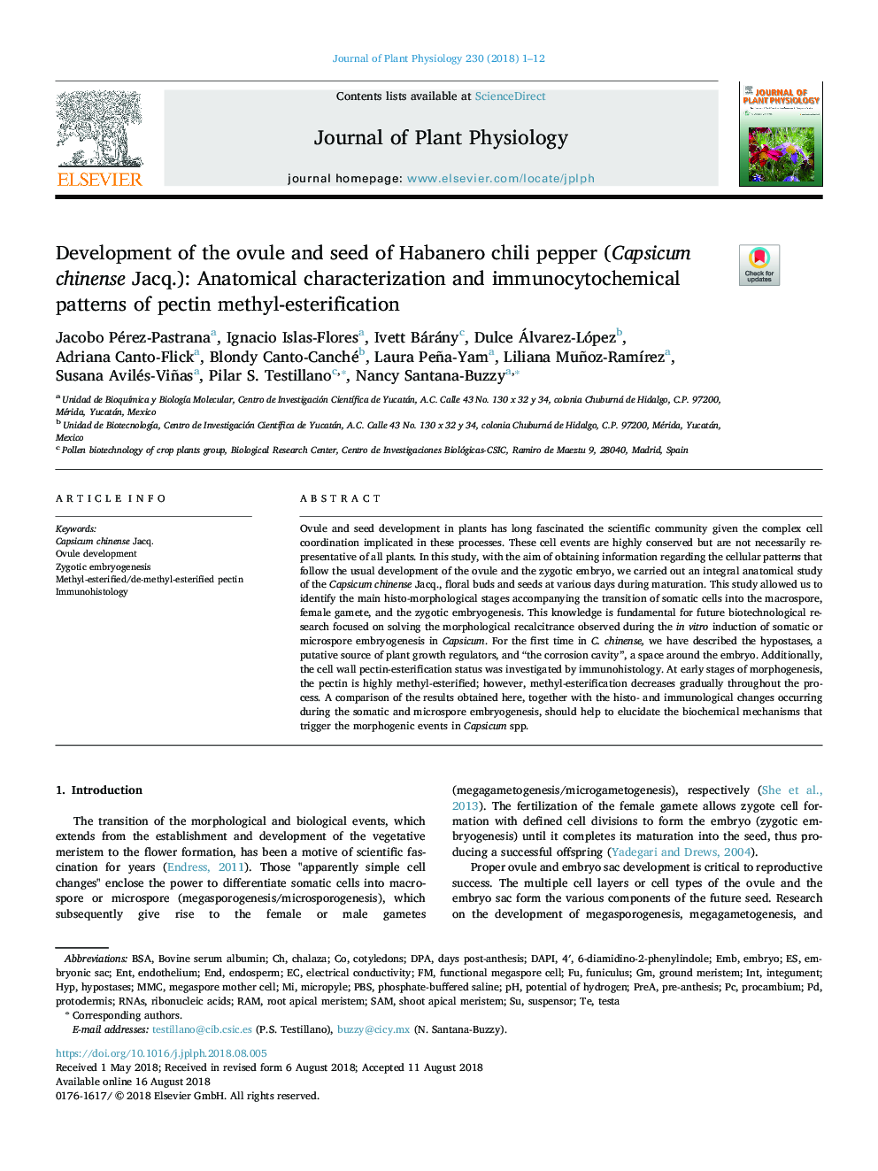 Development of the ovule and seed of Habanero chili pepper (Capsicum chinense Jacq.): Anatomical characterization and immunocytochemical patterns of pectin methyl-esterification