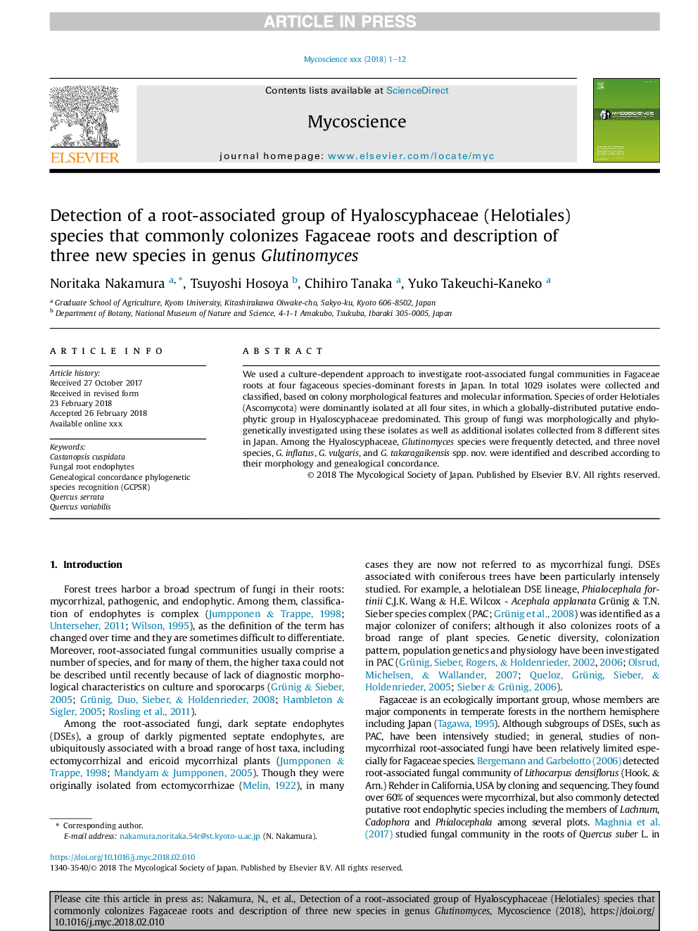 Detection of a root-associated group of Hyaloscyphaceae (Helotiales) species that commonly colonizes Fagaceae roots and description of three new species in genus Glutinomyces