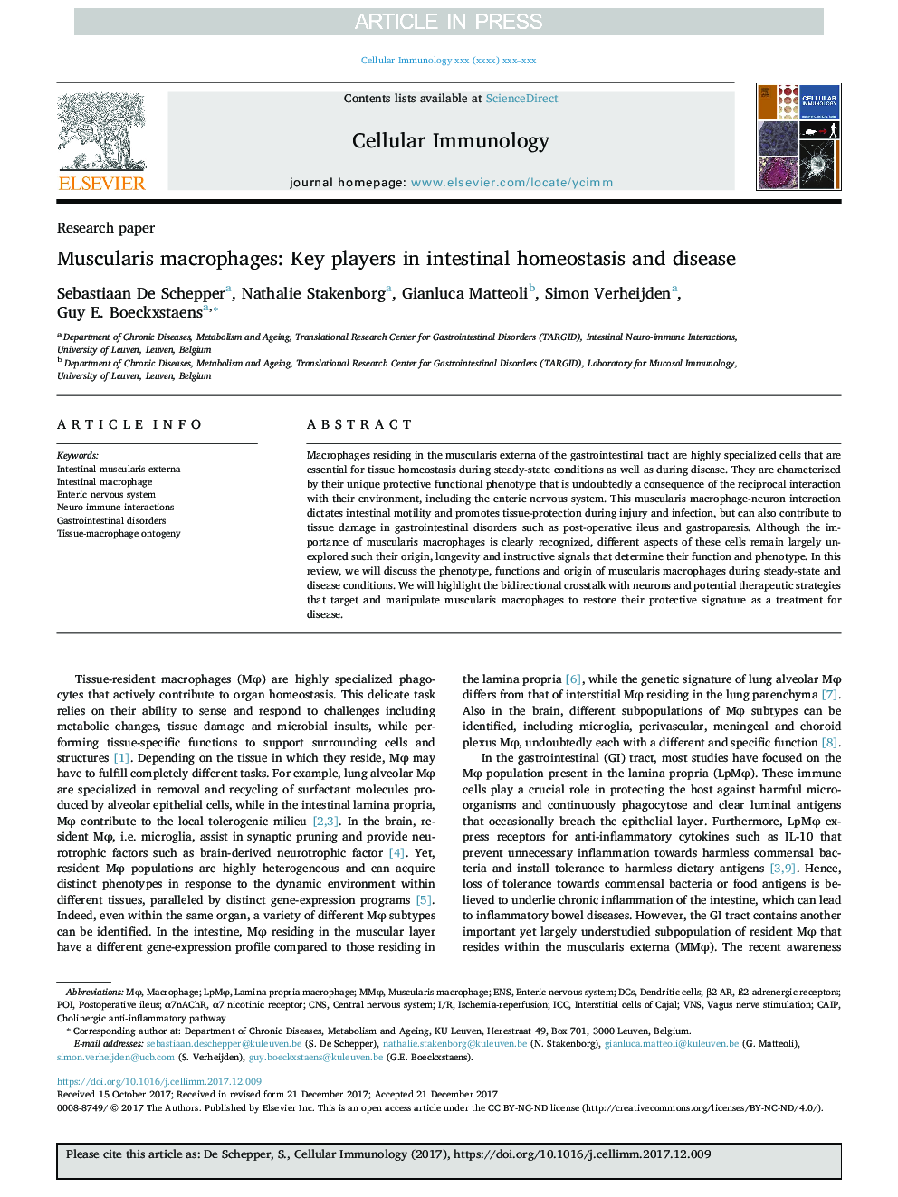 Muscularis macrophages: Key players in intestinal homeostasis and disease