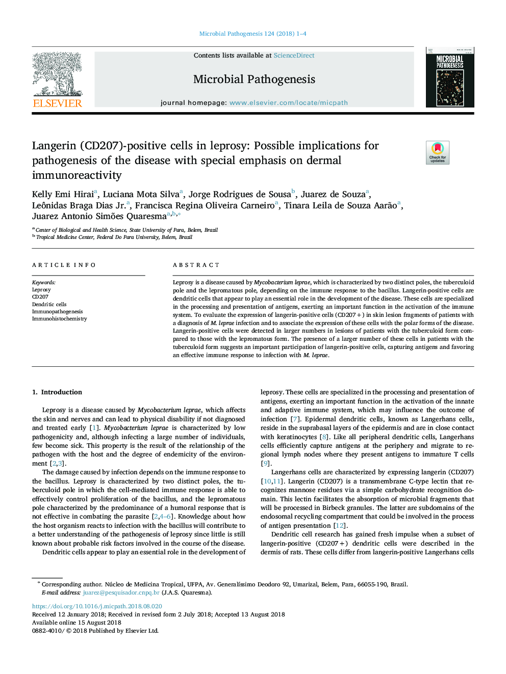 Langerin (CD207)-positive cells in leprosy: Possible implications for pathogenesis of the disease with special emphasis on dermal immunoreactivity