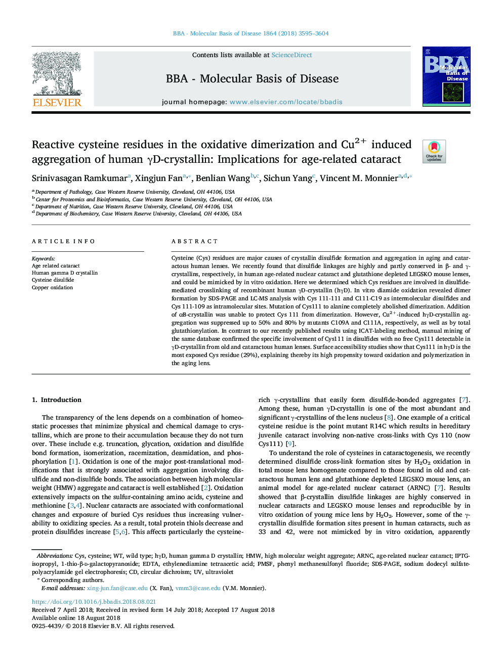 Reactive cysteine residues in the oxidative dimerization and Cu2+ induced aggregation of human Î³D-crystallin: Implications for age-related cataract