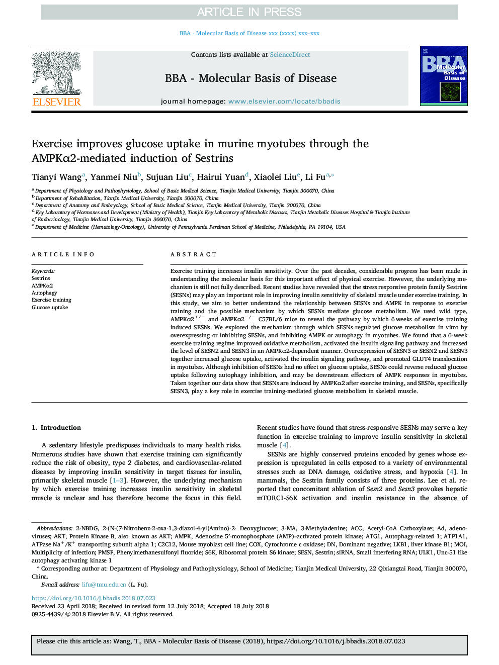 Exercise improves glucose uptake in murine myotubes through the AMPKÎ±2-mediated induction of Sestrins