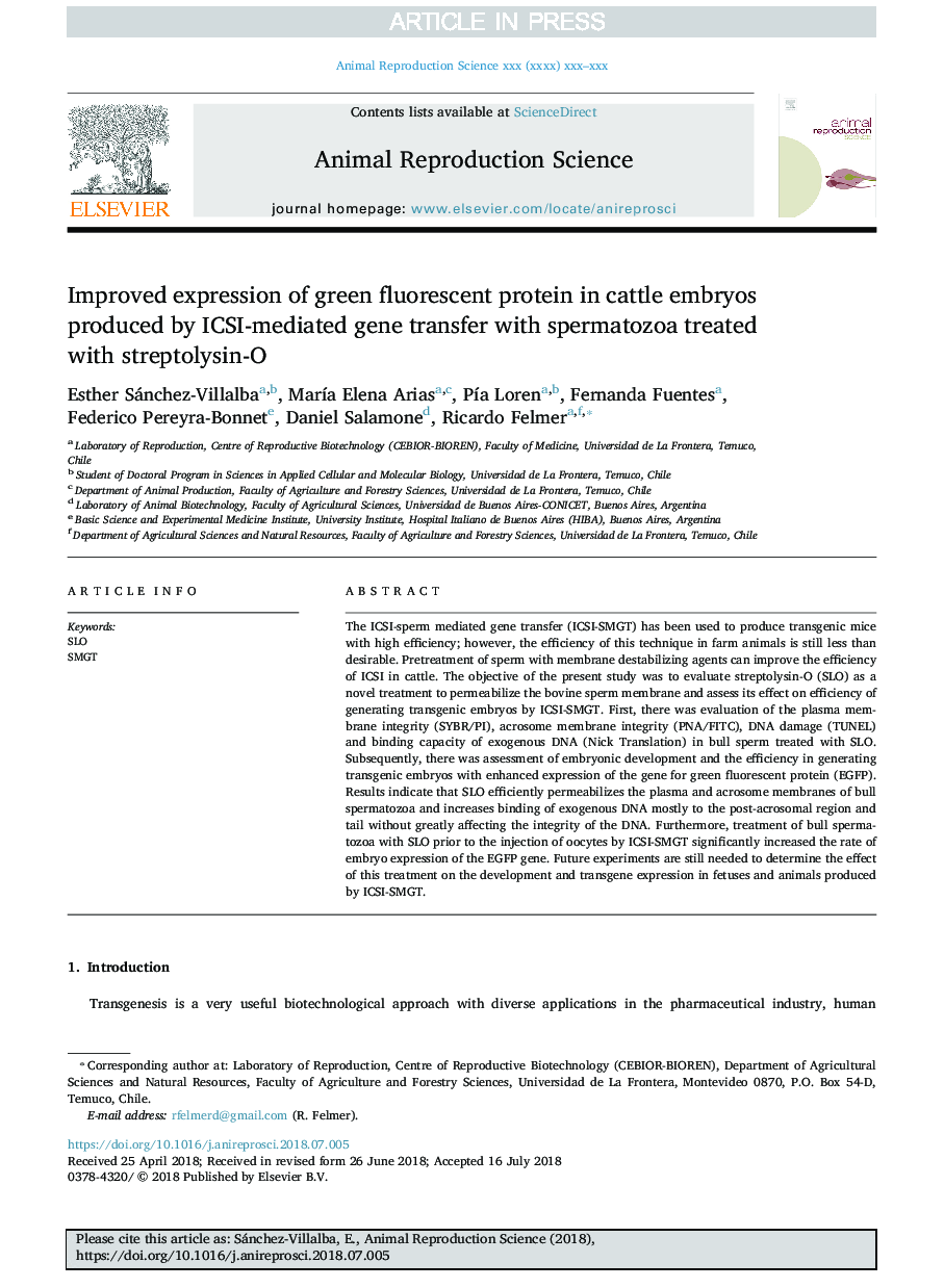 Improved expression of green fluorescent protein in cattle embryos produced by ICSI-mediated gene transfer with spermatozoa treated with streptolysin-O