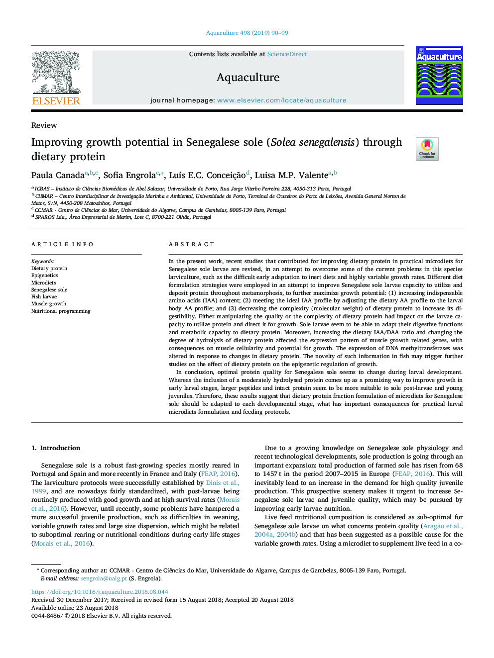 Improving growth potential in Senegalese sole (Solea senegalensis) through dietary protein