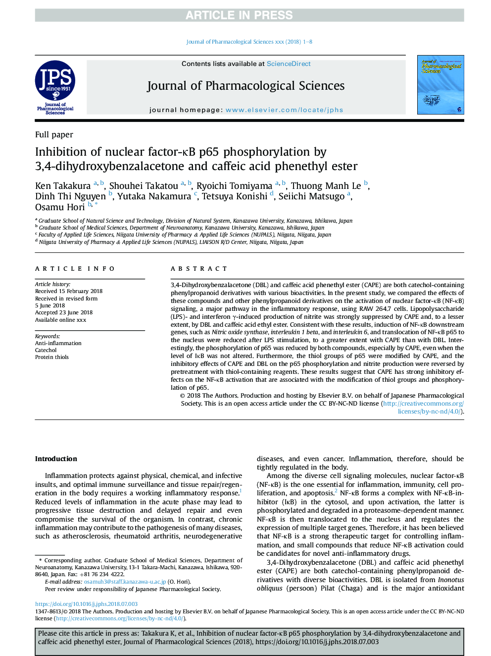 Inhibition of nuclear factor-ÎºB p65 phosphorylation by 3,4-dihydroxybenzalacetone and caffeic acid phenethyl ester