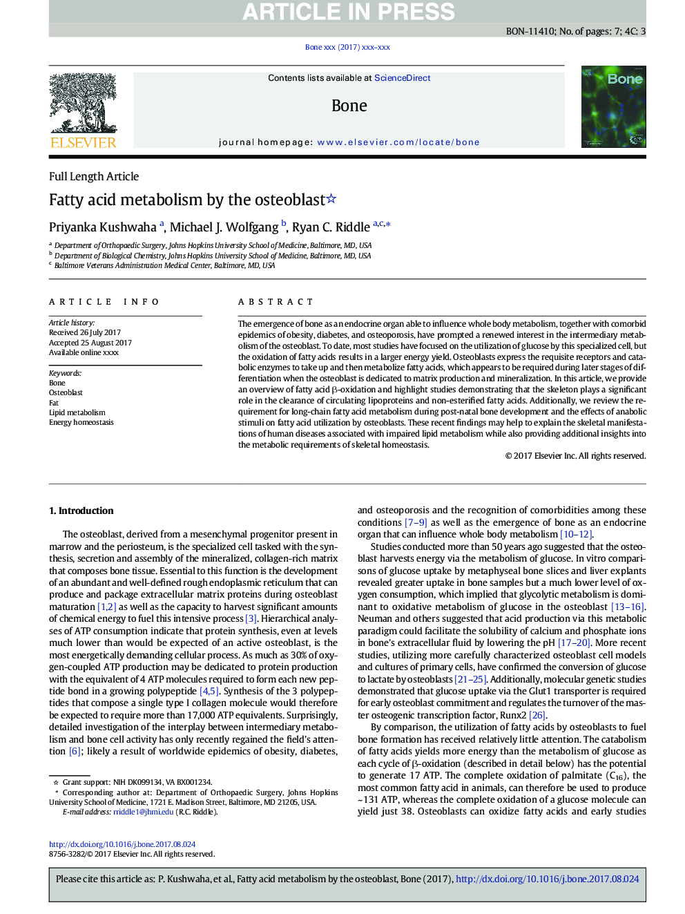 Fatty acid metabolism by the osteoblast