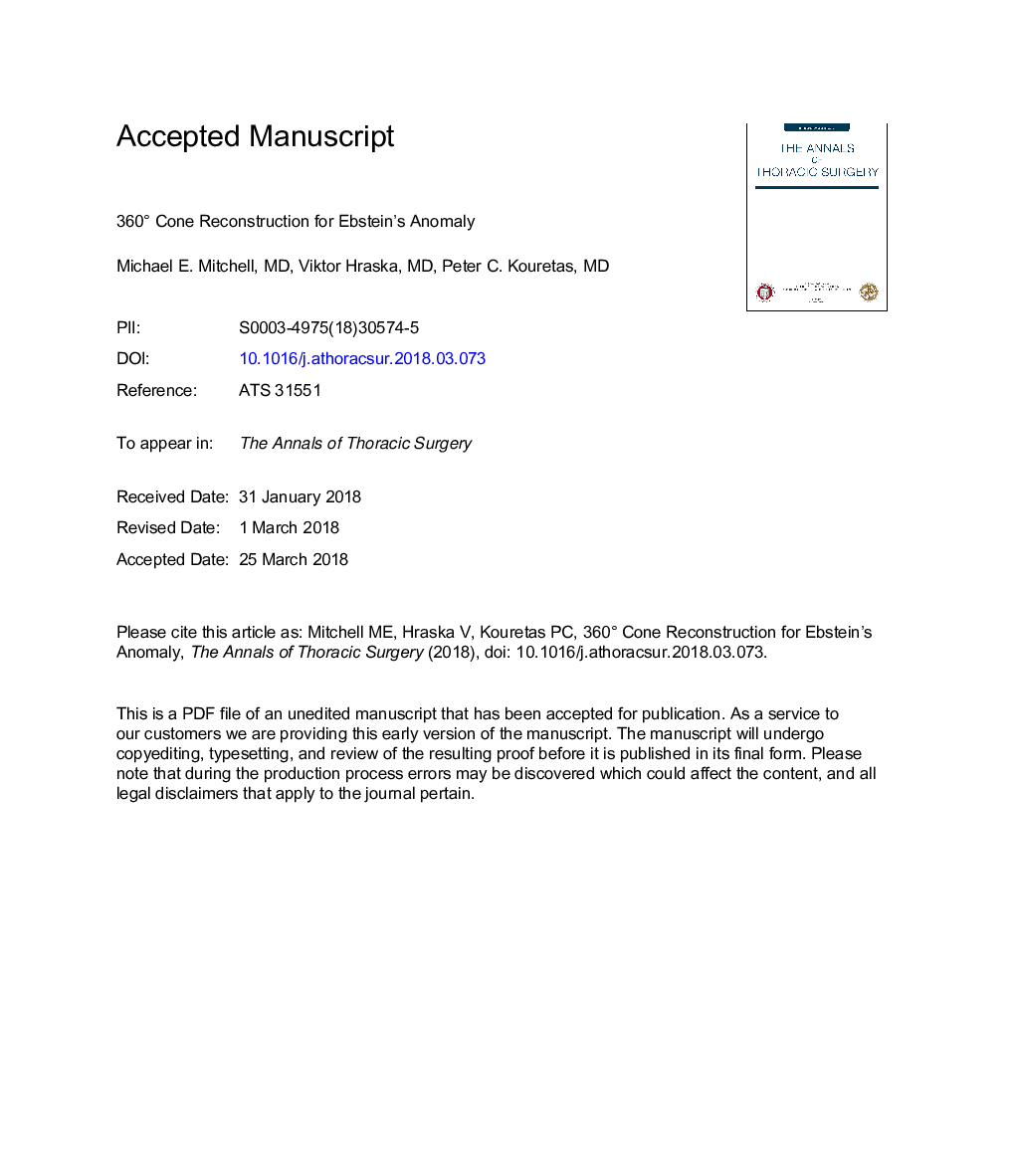 360-Degree Cone Reconstruction for Ebstein's Anomaly