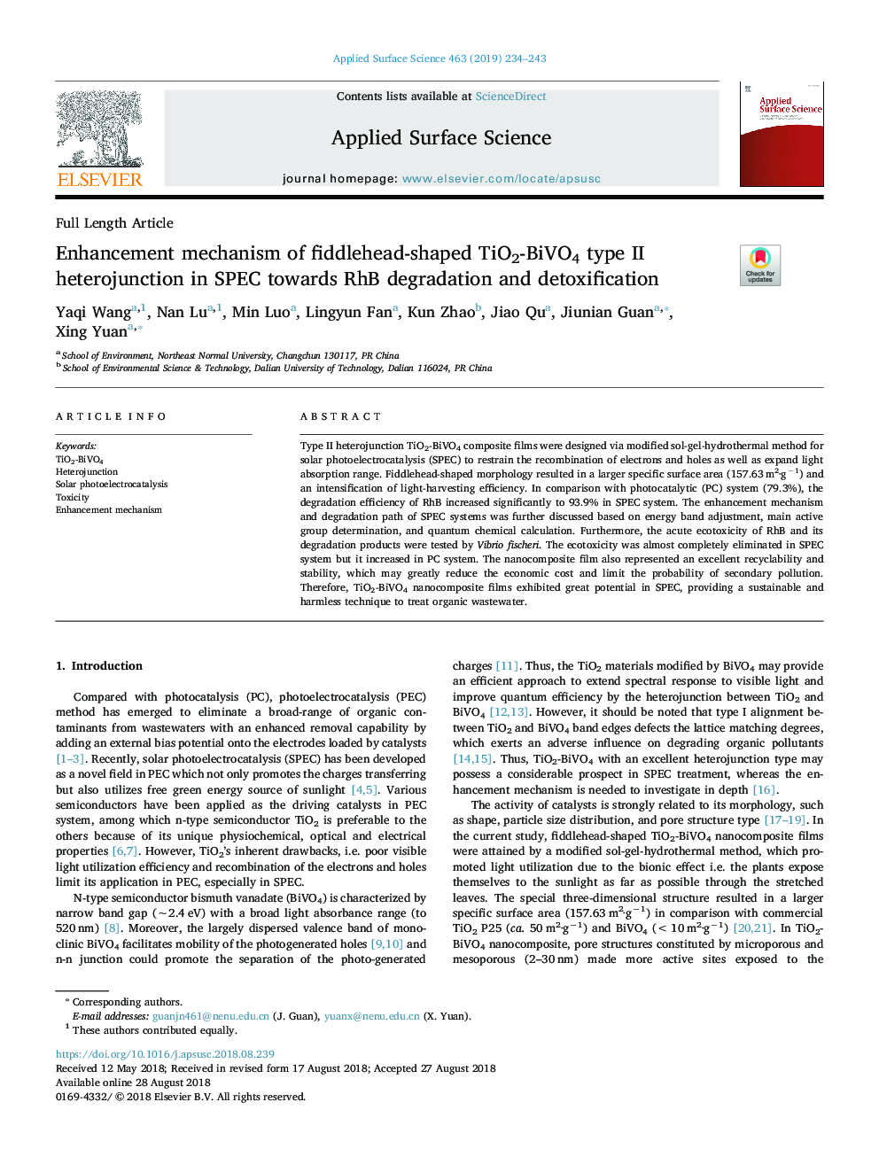 Enhancement mechanism of fiddlehead-shaped TiO2-BiVO4 type II heterojunction in SPEC towards RhB degradation and detoxification