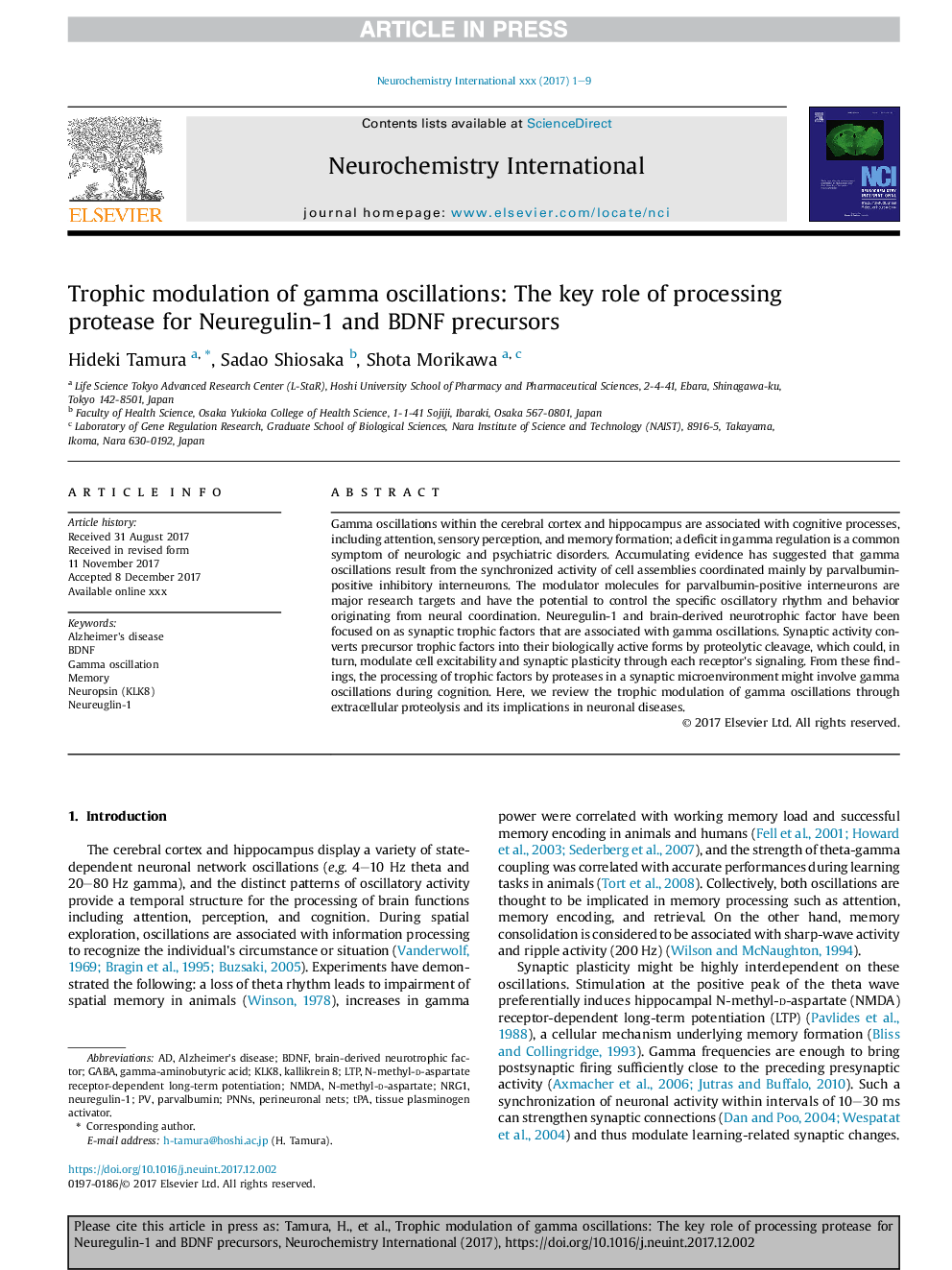 Trophic modulation of gamma oscillations: The key role of processing protease for Neuregulin-1 and BDNF precursors