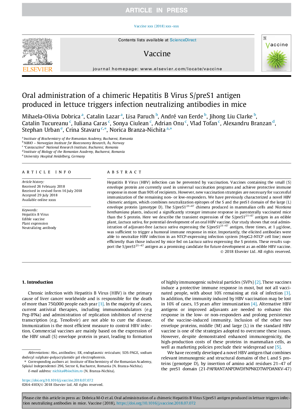 Oral administration of a chimeric Hepatitis B Virus S/preS1 antigen produced in lettuce triggers infection neutralizing antibodies in mice