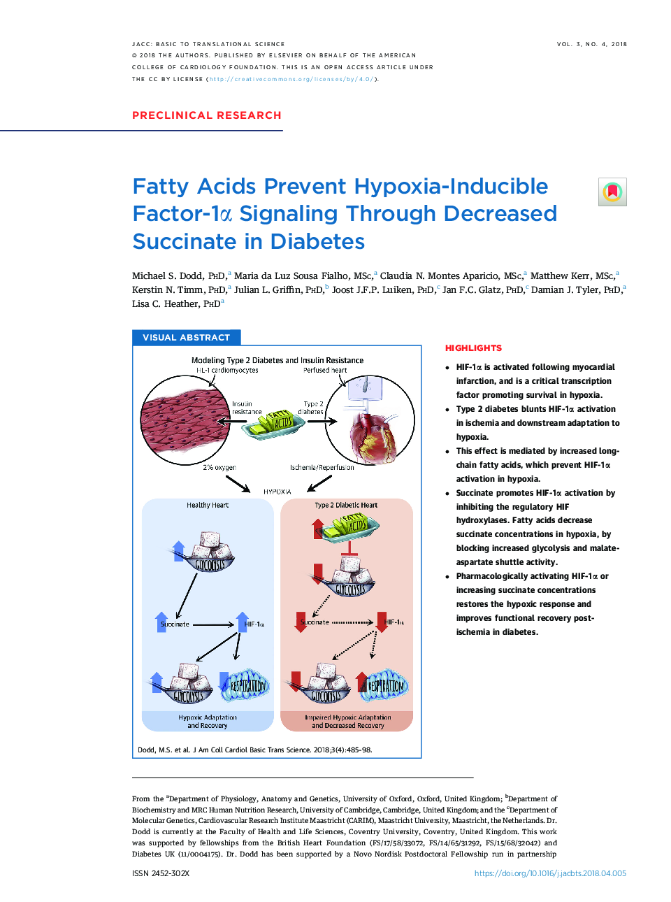 Fatty Acids Prevent Hypoxia-Inducible Factor-1Î± Signaling Through Decreased Succinate in Diabetes