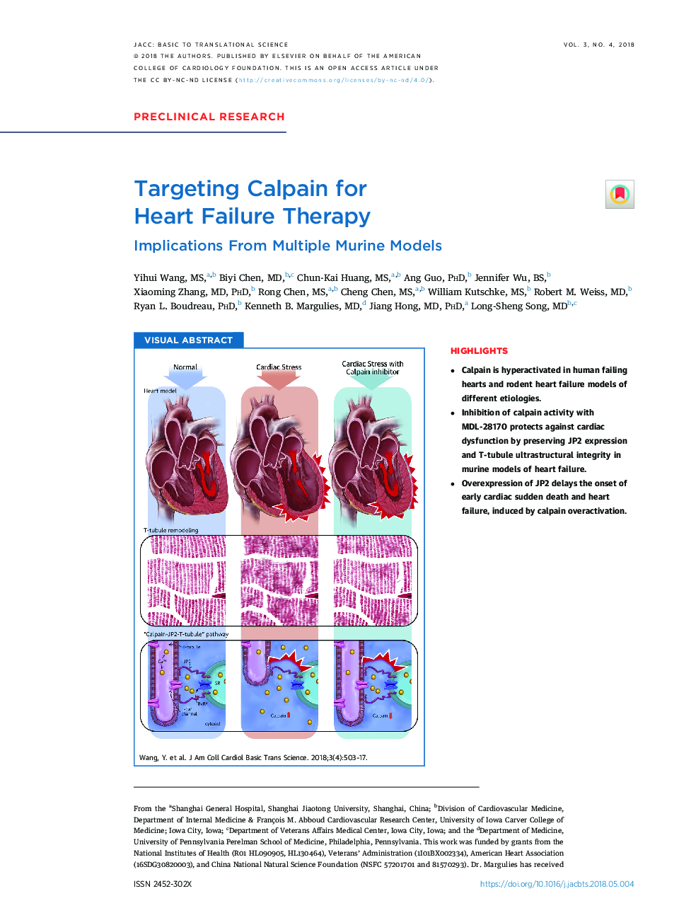 Targeting Calpain for Heart FailureÂ Therapy