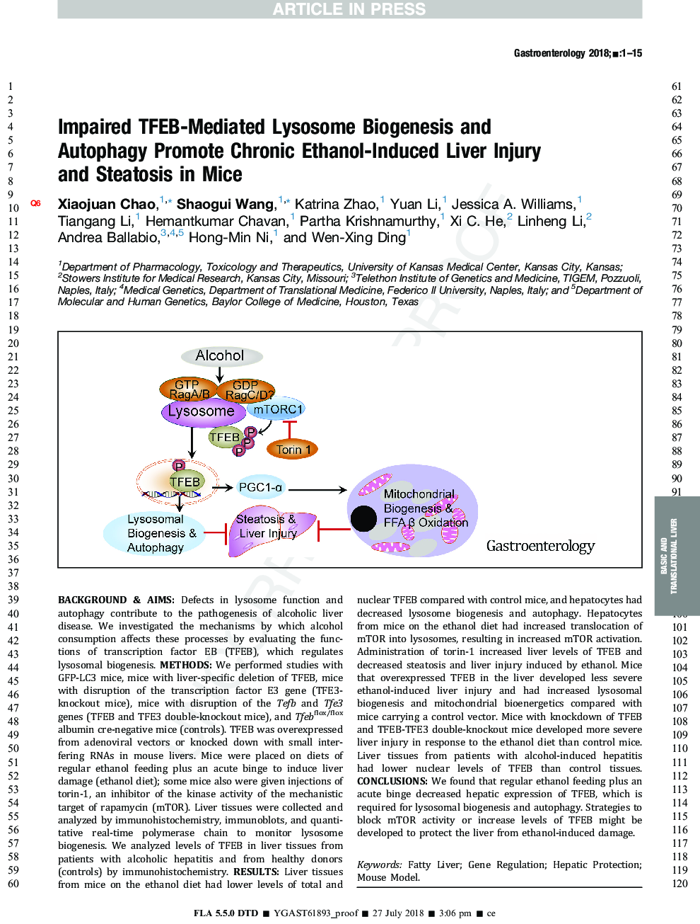 Impaired TFEB-Mediated Lysosome Biogenesis and Autophagy Promote Chronic Ethanol-Induced Liver Injury and Steatosis inÂ Mice