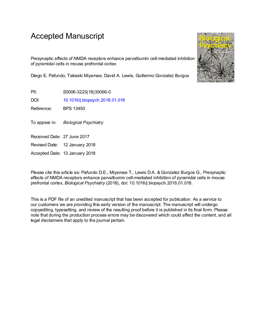 Presynaptic Effects of N-Methyl-D-Aspartate Receptors Enhance Parvalbumin Cell-Mediated Inhibition of Pyramidal Cells in Mouse Prefrontal Cortex