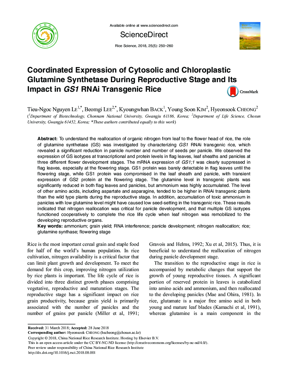 Coordinated Expression of Cytosolic and Chloroplastic Glutamine Synthetase During Reproductive Stage and Its Impact in GS1 RNAi Transgenic Rice