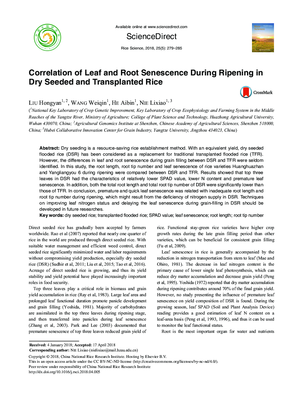 Correlation of Leaf and Root Senescence During Ripening in Dry Seeded and Transplanted Rice