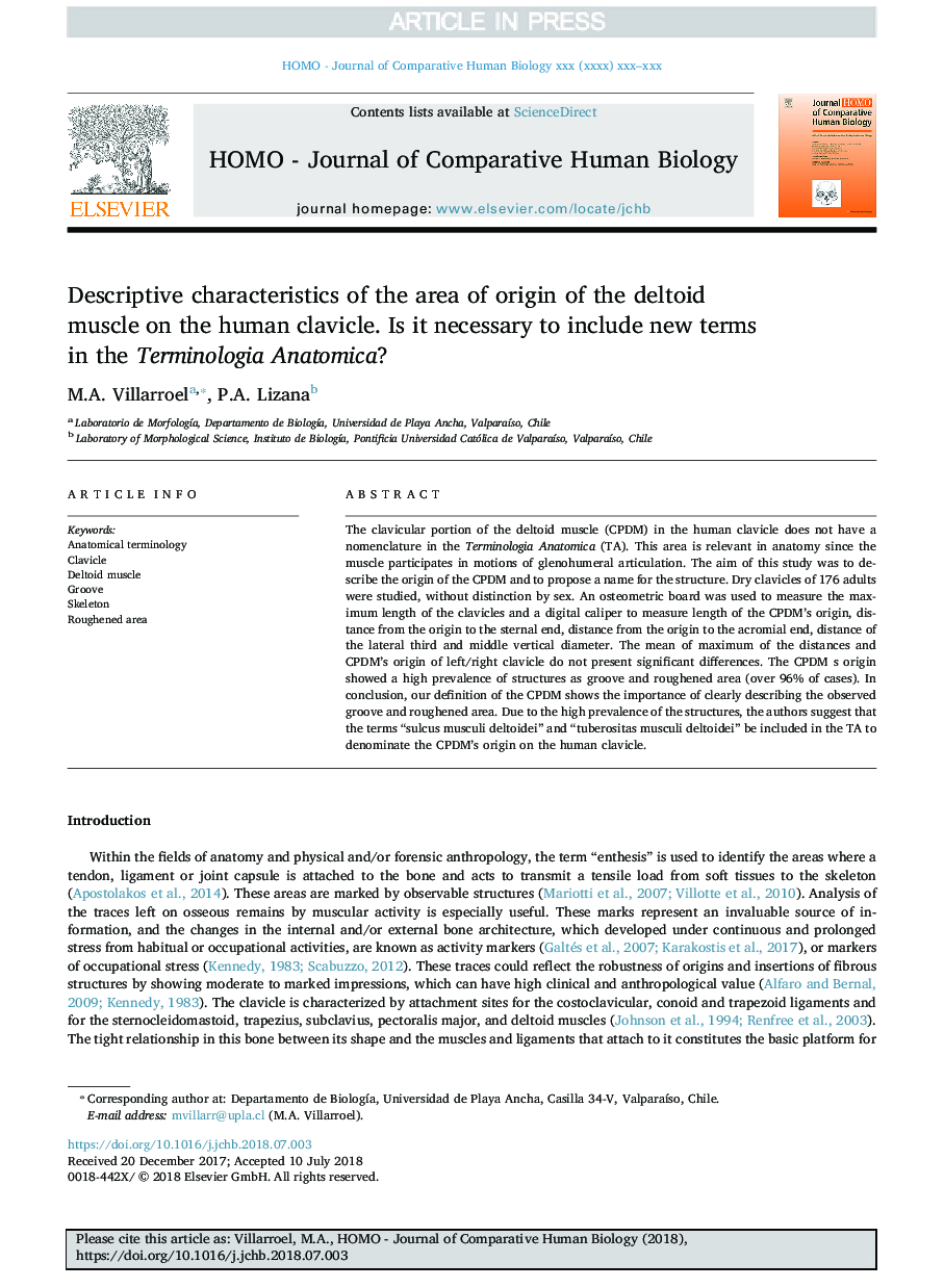 Descriptive characteristics of the area of origin of the deltoid muscle on the human clavicle. Is it necessary to include new terms in the Terminologia Anatomica?