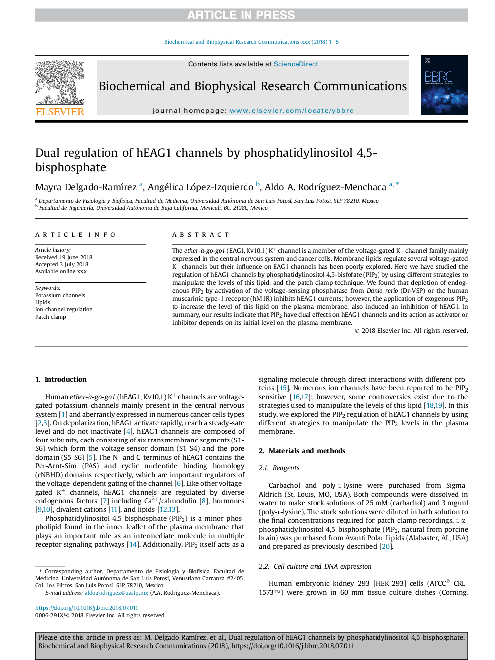 Dual regulation of hEAG1 channels by phosphatidylinositol 4,5-bisphosphate