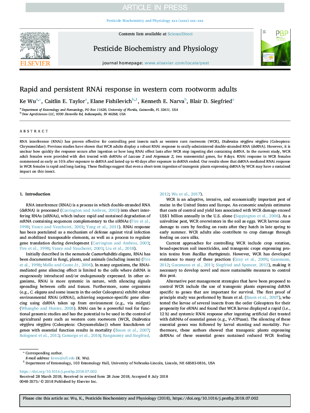 Rapid and persistent RNAi response in western corn rootworm adults