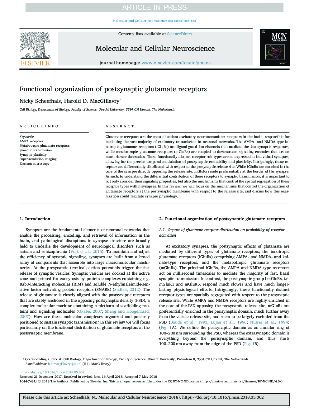 Functional organization of postsynaptic glutamate receptors
