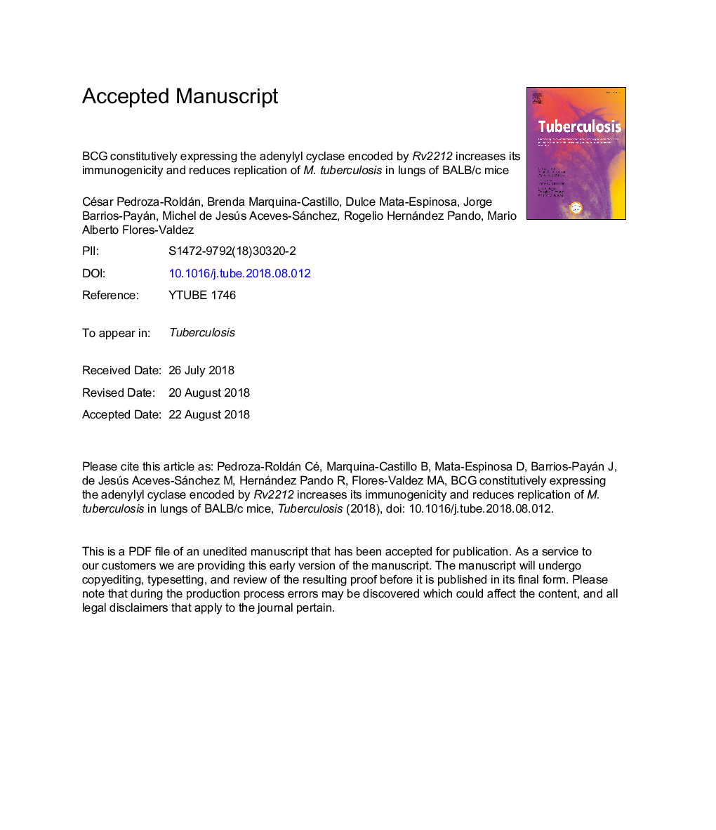 BCG constitutively expressing the adenylyl cyclase encoded by Rv2212 increases its immunogenicity and reduces replication of M. tuberculosis in lungs of BALB/c mice