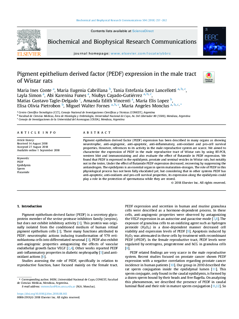 Pigment epithelium derived factor (PEDF) expression in the male tract of Wistar rats