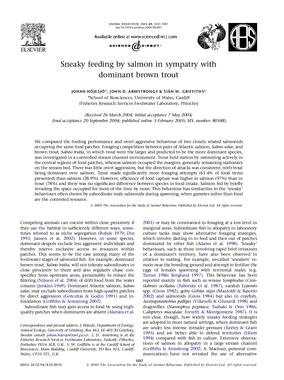 Sneaky feeding by salmon in sympatry with dominant brown trout