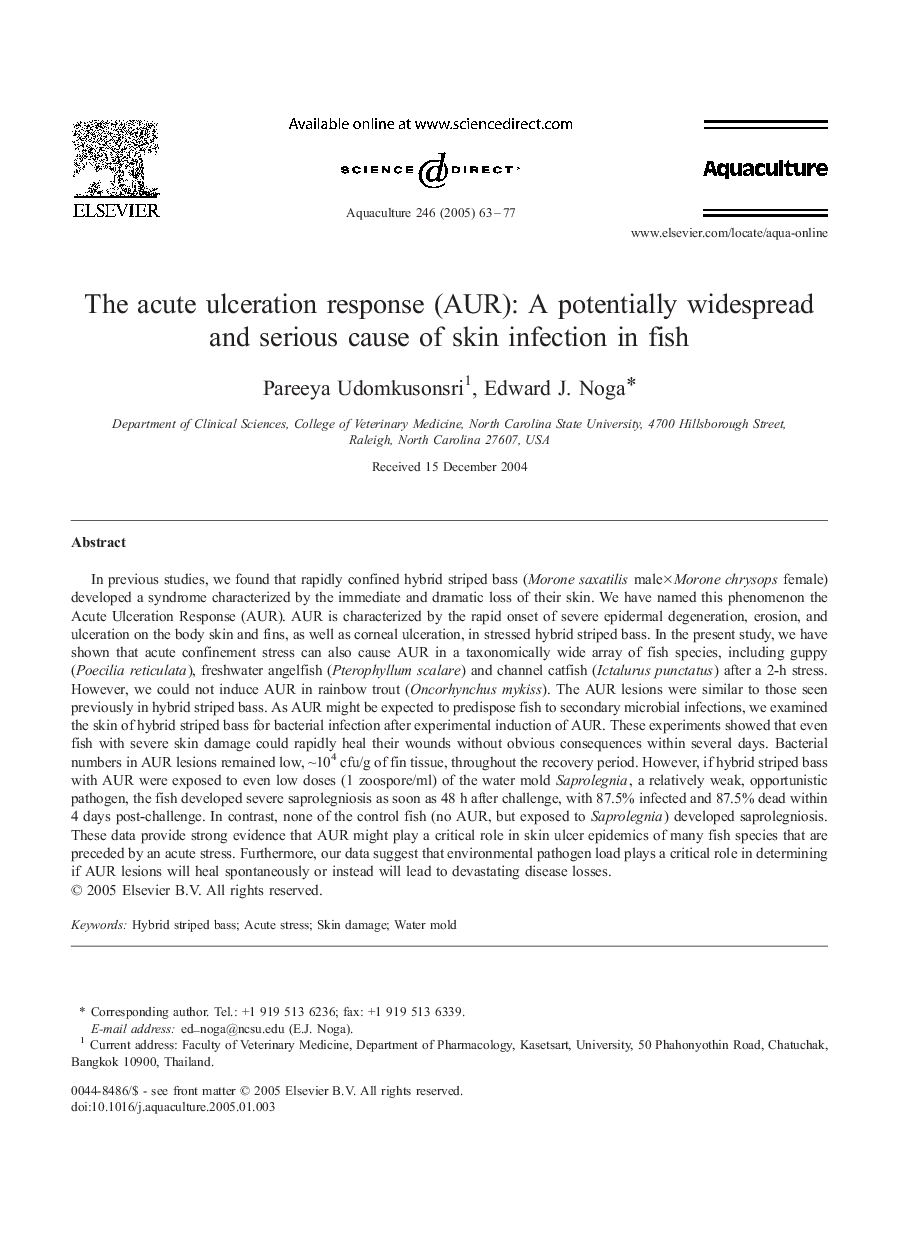 The acute ulceration response (AUR): A potentially widespread and serious cause of skin infection in fish