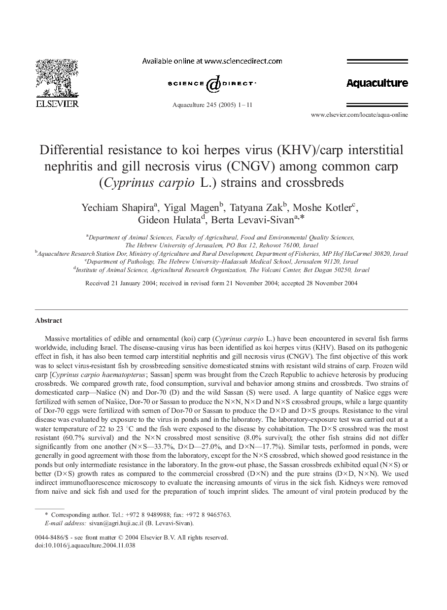 Differential resistance to koi herpes virus (KHV)/carp interstitial nephritis and gill necrosis virus (CNGV) among common carp (Cyprinus carpio L.) strains and crossbreds