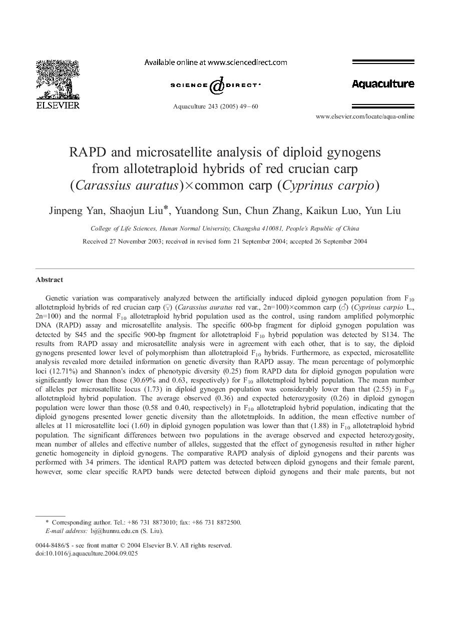 RAPD and microsatellite analysis of diploid gynogens from allotetraploid hybrids of red crucian carp (Carassius auratus)Ãcommon carp (Cyprinus carpio)