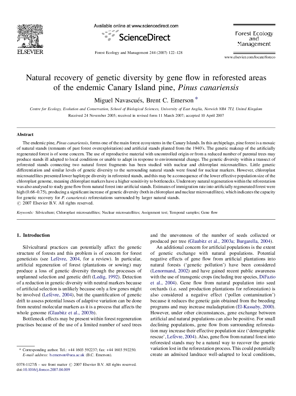 Natural recovery of genetic diversity by gene flow in reforested areas of the endemic Canary Island pine, Pinus canariensis