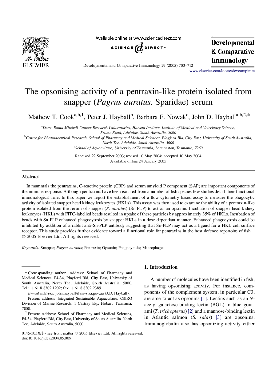 The opsonising activity of a pentraxin-like protein isolated from snapper (Pagrus auratus, Sparidae) serum