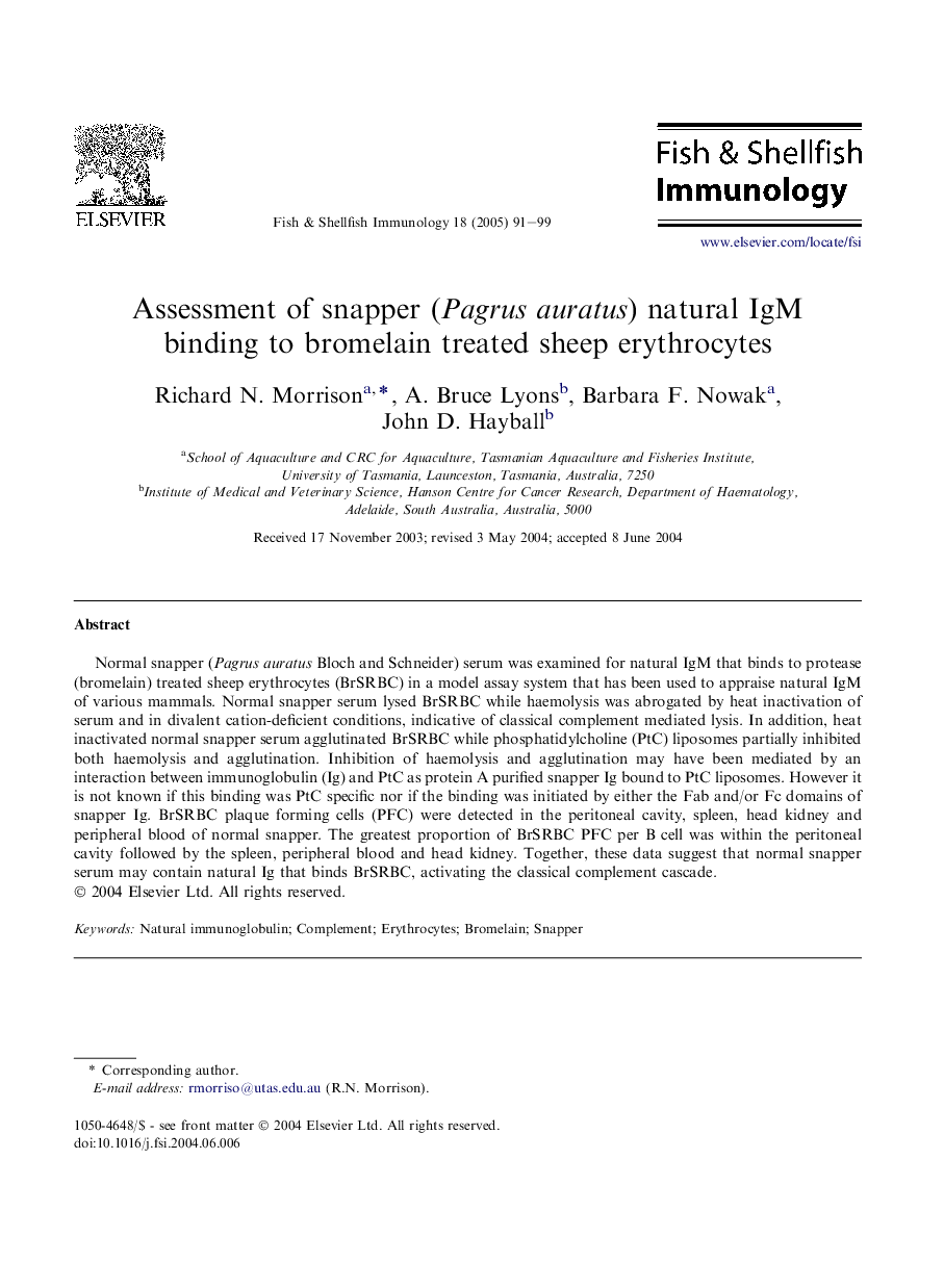 Assessment of snapper (Pagrus auratus) natural IgM binding to bromelain treated sheep erythrocytes