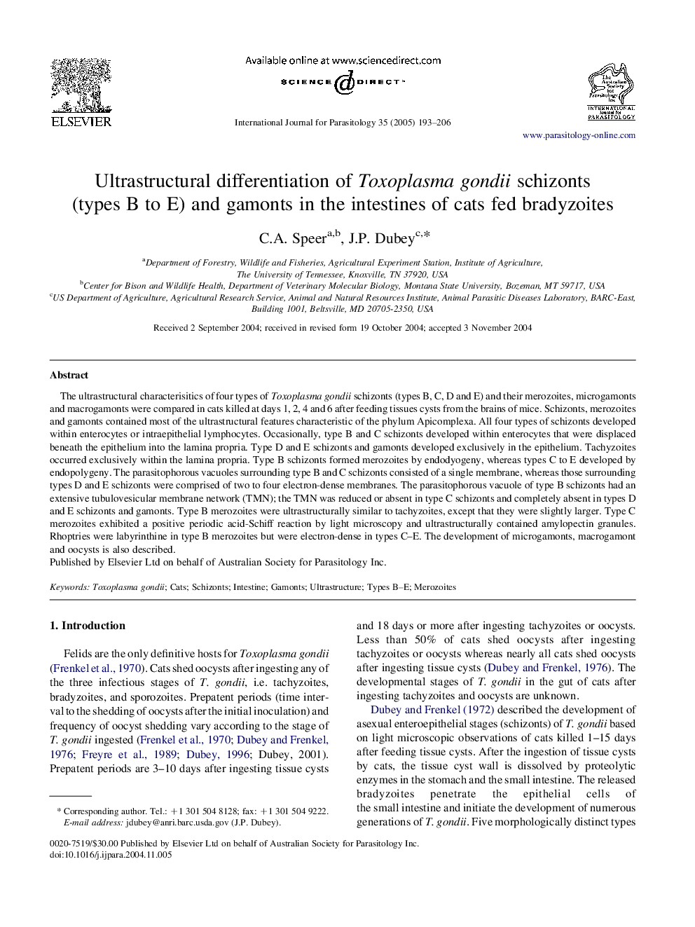 Ultrastructural differentiation of Toxoplasma gondii schizonts (types B to E) and gamonts in the intestines of cats fed bradyzoites