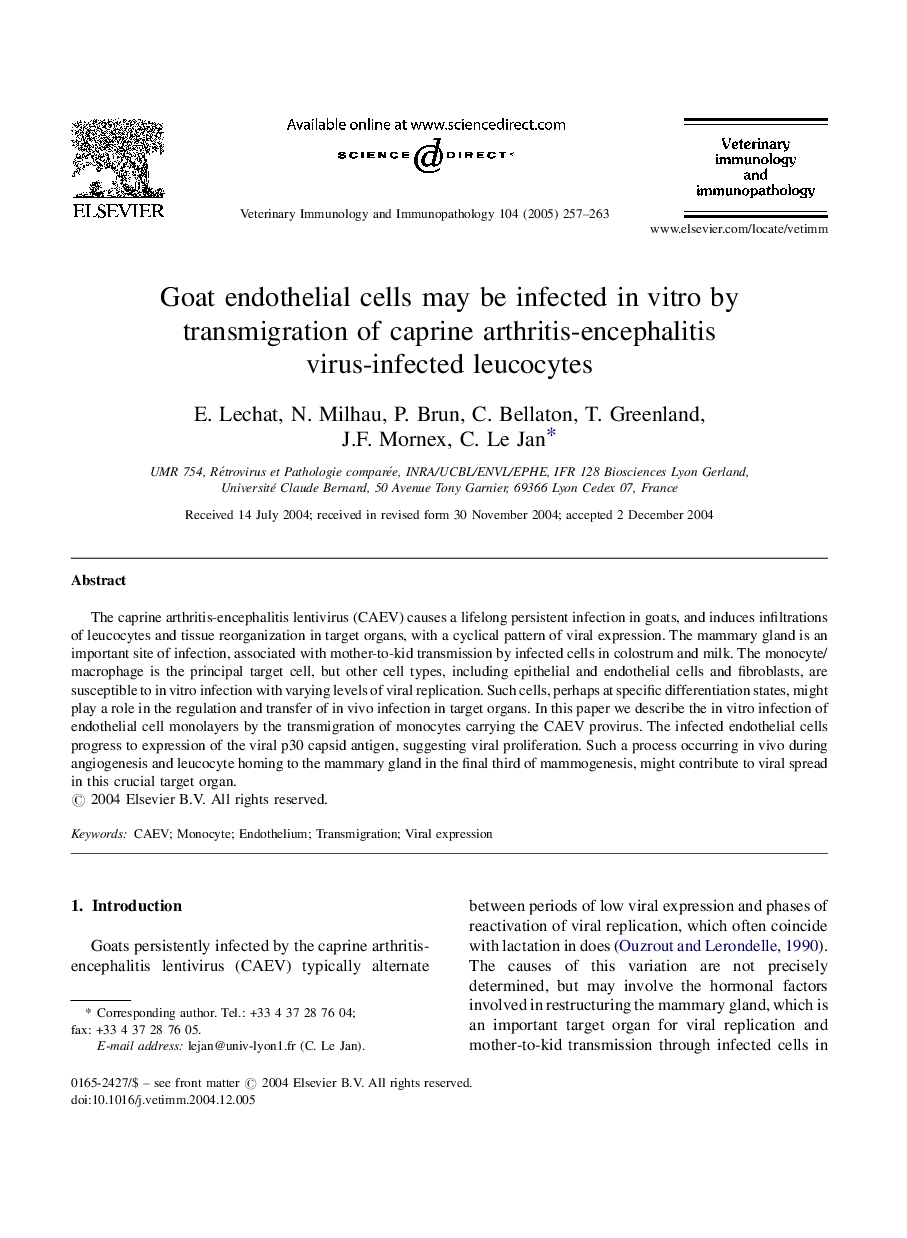 Goat endothelial cells may be infected in vitro by transmigration of caprine arthritis-encephalitis virus-infected leucocytes