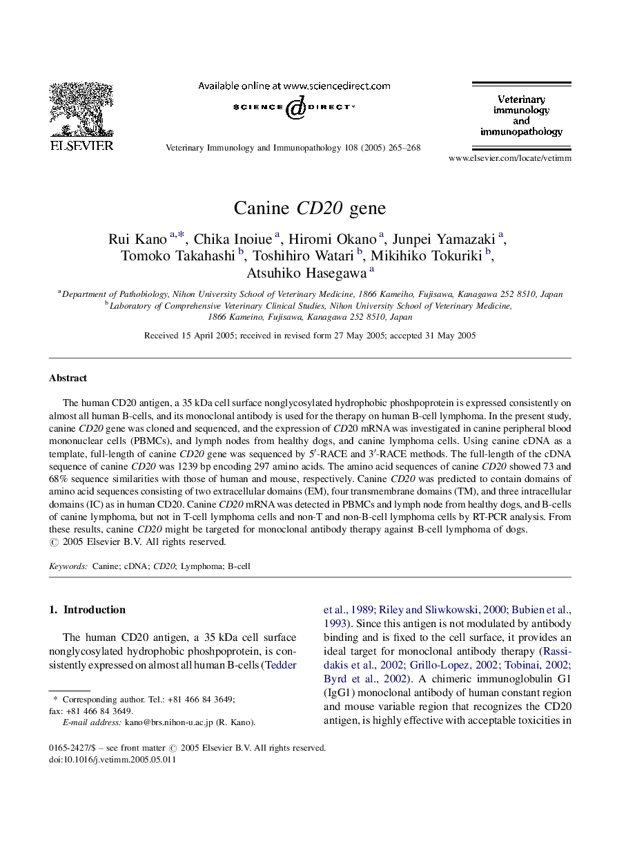 Canine CD20 gene