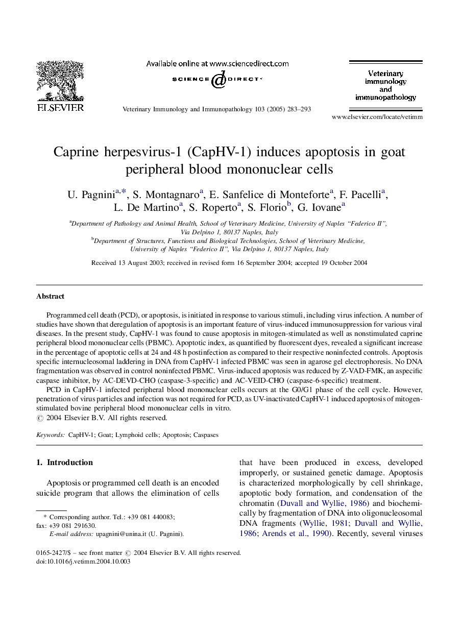 Caprine herpesvirus-1 (CapHV-1) induces apoptosis in goat peripheral blood mononuclear cells