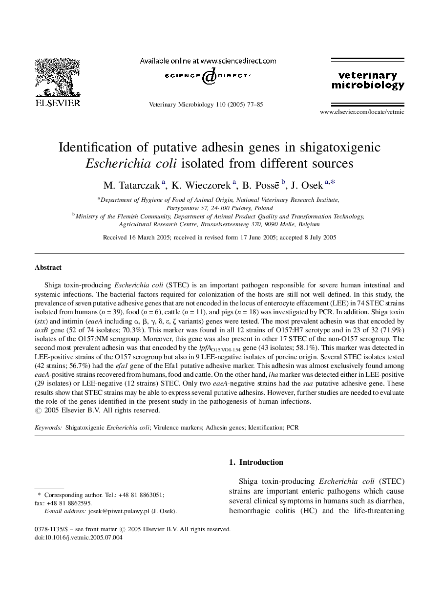 Identification of putative adhesin genes in shigatoxigenic Escherichia coli isolated from different sources