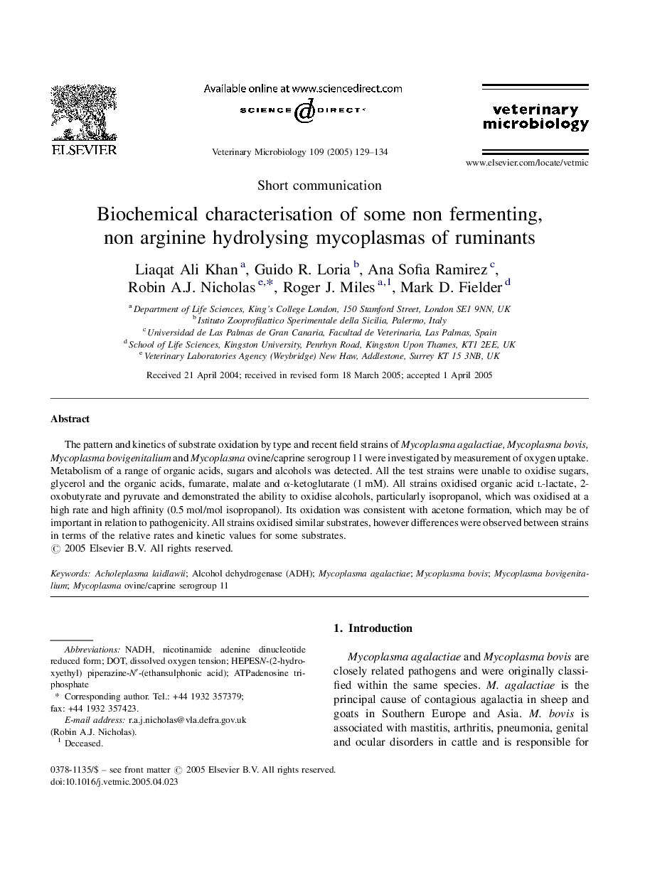 Biochemical characterisation of some non fermenting, non arginine hydrolysing mycoplasmas of ruminants