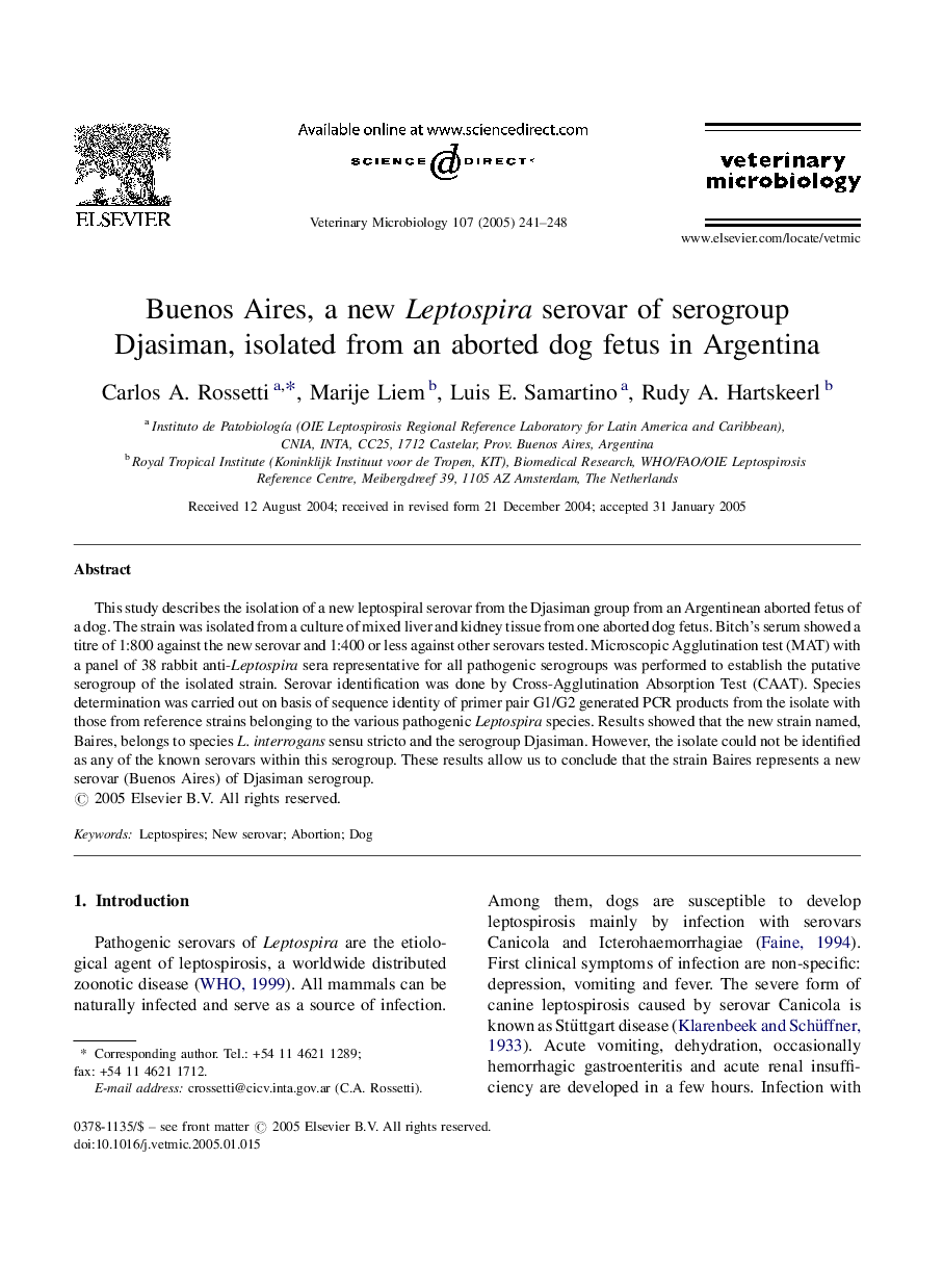 Buenos Aires, a new Leptospira serovar of serogroup Djasiman, isolated from an aborted dog fetus in Argentina