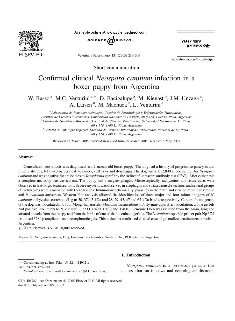 Confirmed clinical Neospora caninum infection in a boxer puppy from Argentina