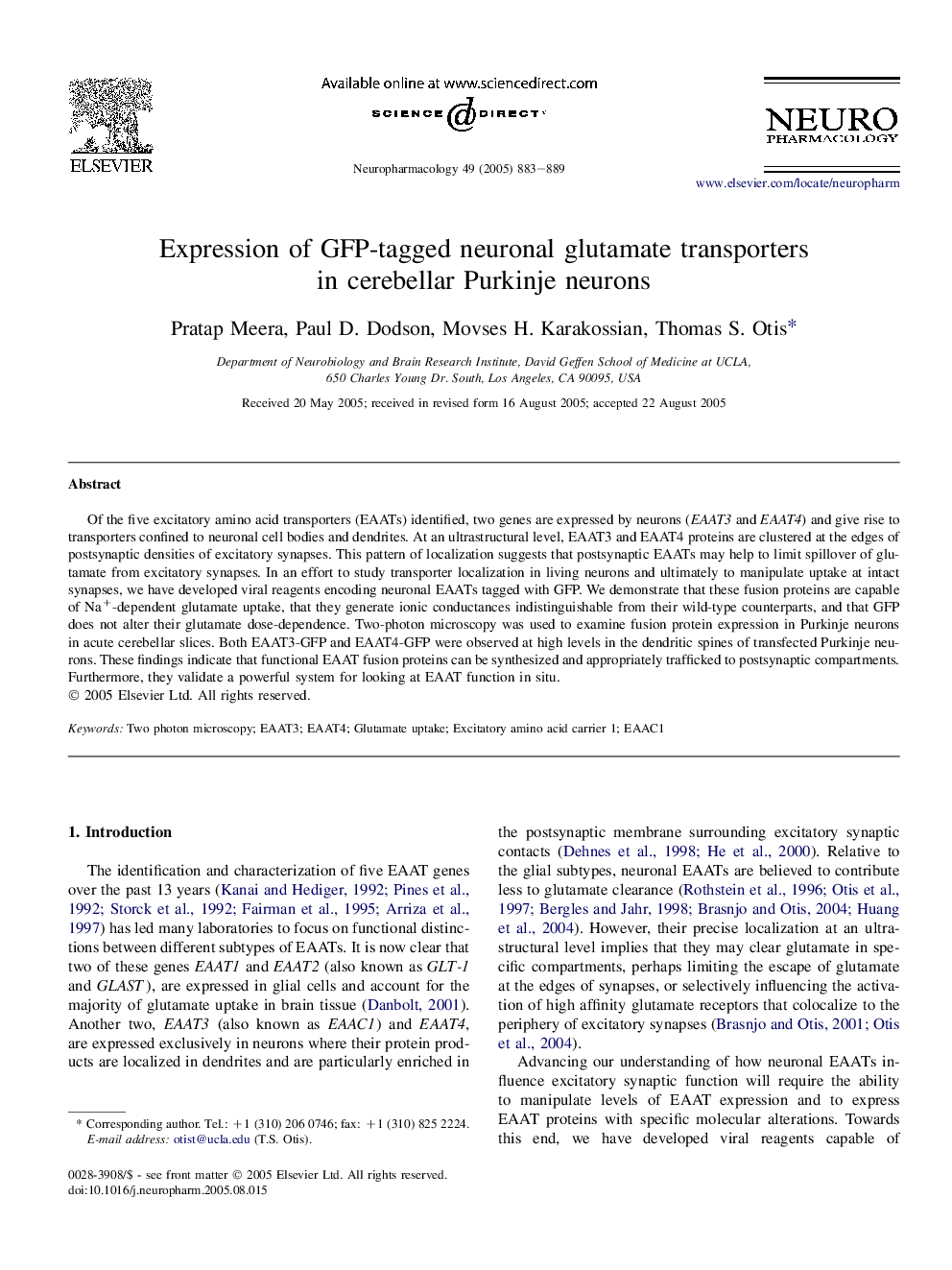 Expression of GFP-tagged neuronal glutamate transporters in cerebellar Purkinje neurons