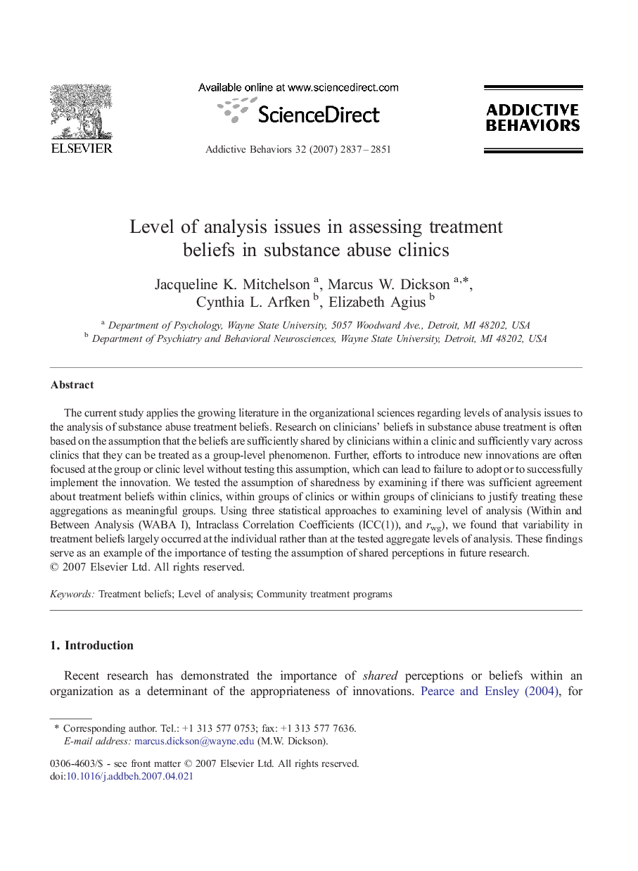 Level of analysis issues in assessing treatment beliefs in substance abuse clinics